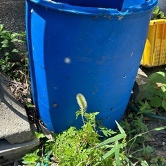 100ﾘｯﾄﾙドラム水槽自作雨水貯水