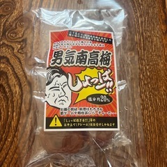 南高梅