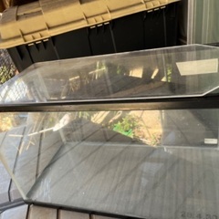 60cm水槽の画像