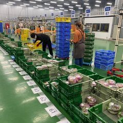 午前中４時間勤務！早期終業でも日給保証！！☆ 午前中４時間だけの...