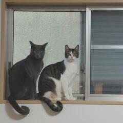 お友達募集♡
