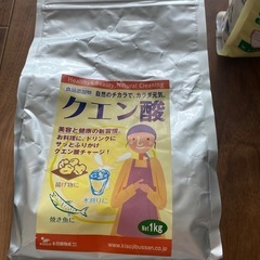 食品レベルの重曹とクエン酸　の画像