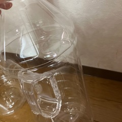 ペットボトル　2リットル　2本の画像