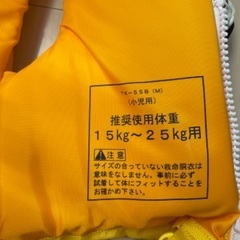 ライフセイバージャケット子供用の画像