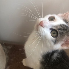 甘えん坊ヨチヨチ追いかけっこ空くん