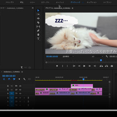 報酬1000円｜動画編集が自分にできるか分からない・始めてみたい方募集｜動画編集体験アンケート｜プレミアプロ未経験者限定の画像