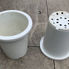 【中古】8号プラスチック植木鉢(白/薄水色/黒/茶色) アソート　販売中！の画像