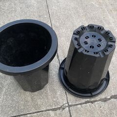 【中古】8号プラスチック植木鉢(白/薄水色/黒/茶色) アソート　販売中！の画像