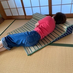 い草寝ござ　2個セット　の画像