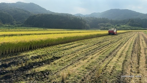 野田方面　15　18