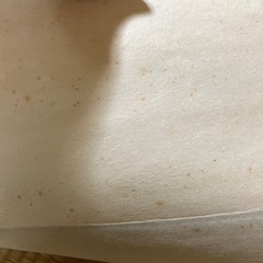 掛け軸の画像