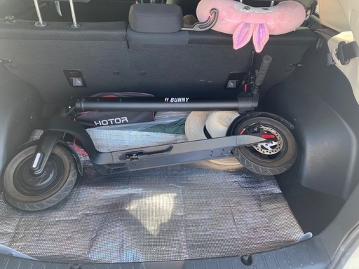 scooter bunny キックボード 