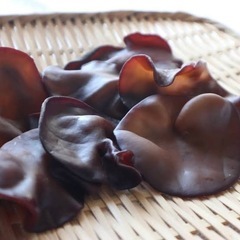 収穫前の早割‼️⭐️特選⭐️純国産生きくらげ【肉厚】の画像