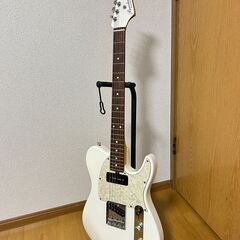 美品★希少カラー Bacchus テレキャスタータイプ T-ma...