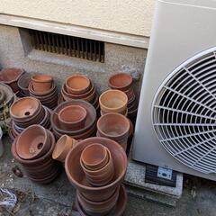 鉢　はち　花壇　植木鉢の画像