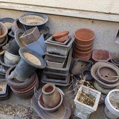 鉢　はち　花壇　植木鉢の画像