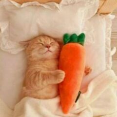 なにふぁむさんと仲良くなりたいです