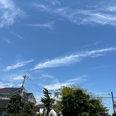 友達なりませんか？