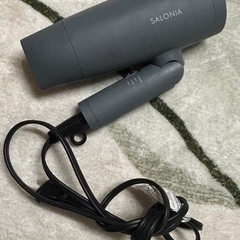 サロニア(SALONIA)　ドライヤー