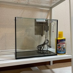 水槽　ろ過装置付きの画像
