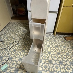 スリムプラタンスの画像