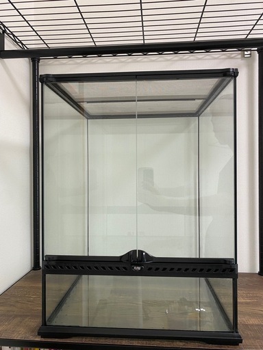 グラステラリウム　エキゾテラ