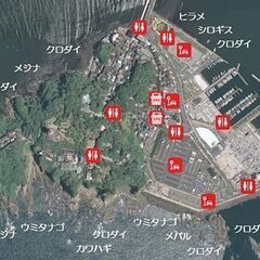 第3・日☆江の島15:00-19:00 🐡初心者さん大歓迎♪みん...