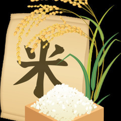 お米　広島県産コシヒカリ　玄米もしくは精米　