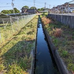 九州 山口県 太陽光発電　除草メンテナンス - 地元のお店
