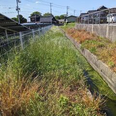 九州 山口県 太陽光発電　除草メンテナンス − 福岡県