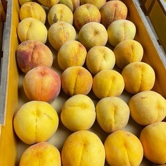 黄金桃のハネだしの画像