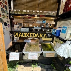 めだかの餌の画像