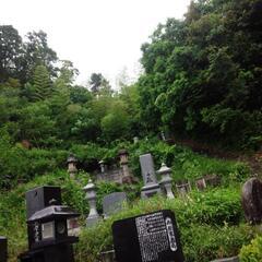 墓周りの草刈り【広島限定】