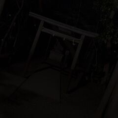 青木ヶ原樹海　散策 - メンバー募集