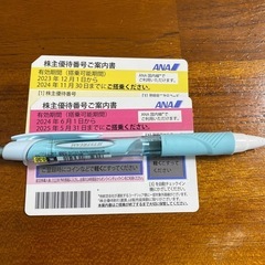 ANA株主優待券2枚セット