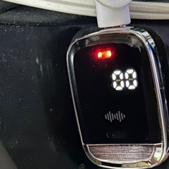 値下げしました！　Royalbelle 超音波害虫駆除器 腕時計型　The High-end Smart Watch Bandの画像