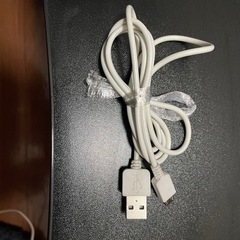 PS4 コントローラー用MicroUSB充電ケーブルプレステ Type-Bの画像