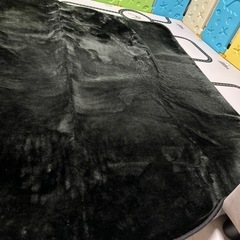 カーペット　黒色のモフモフの画像