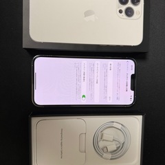 【利用制限◯】iPhone 13 pro max 512GB S...