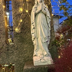 大人女子限定♡ツインレイカウンセリングの画像