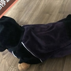 ベロア わんちゃん🐶お洋服の画像