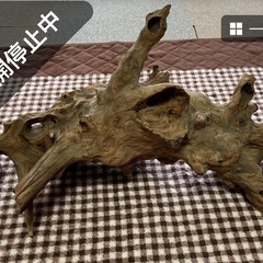 流木の画像