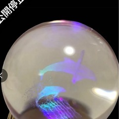 水晶の中のイルカ オルゴール