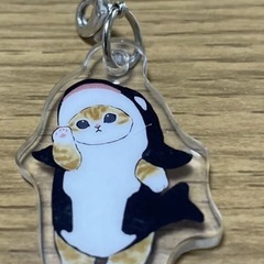 シャチ ねこ