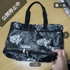 キャリー2ウェイバック