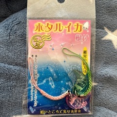 値下げ　新品未開封　ホタルイカ根付け