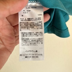 値下げ　新品未使用タグ付　レディースTシャツ　フリーサイズの画像