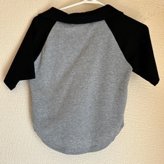 値下げ　新品未使用タグ付　レディースTシャツ　Mサイズ　グレー　の画像