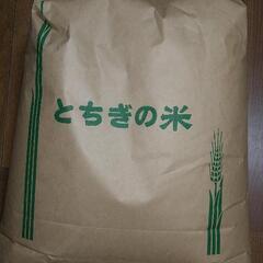 令和６年栃木県佐野市産 コシヒカリ 玄米 ２０キロ③