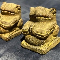 8/24新宿‼️フラワーカエルの画像